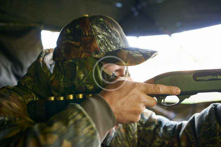 Read more about the article Green Light for Deer Hunters