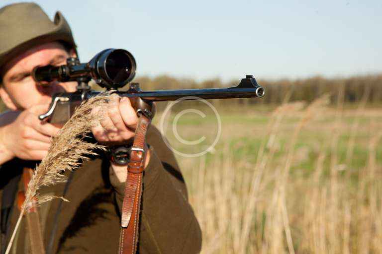 Read more about the article Hunting with Dogs is “Effectively Halted” in Scotland